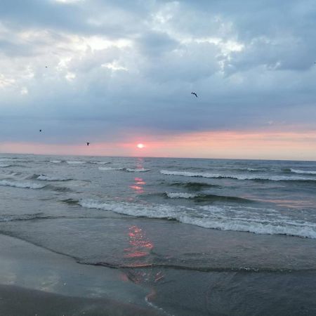 Apartament Summerland Mamaia Dış mekan fotoğraf
