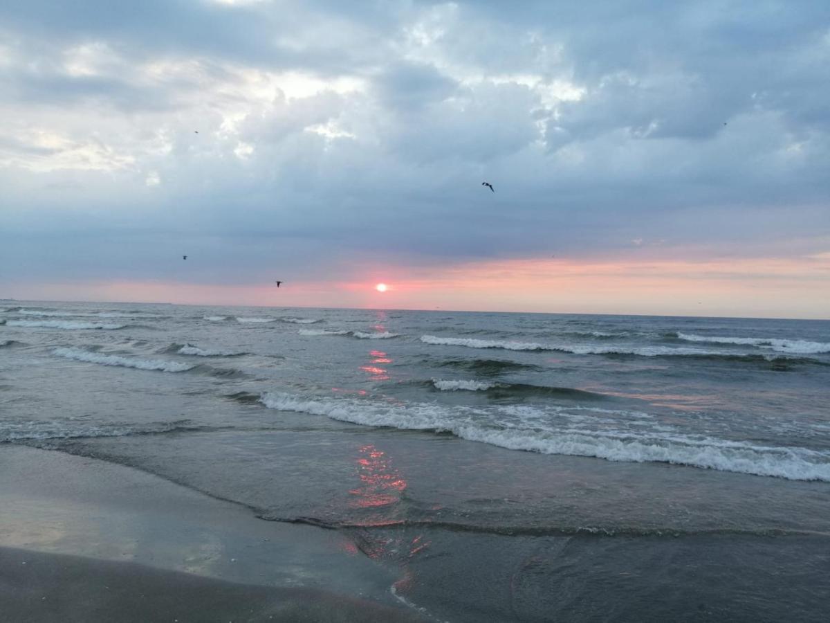Apartament Summerland Mamaia Dış mekan fotoğraf